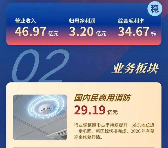 一圖讀懂黑龍江青鳥消防2025年年報(bào)